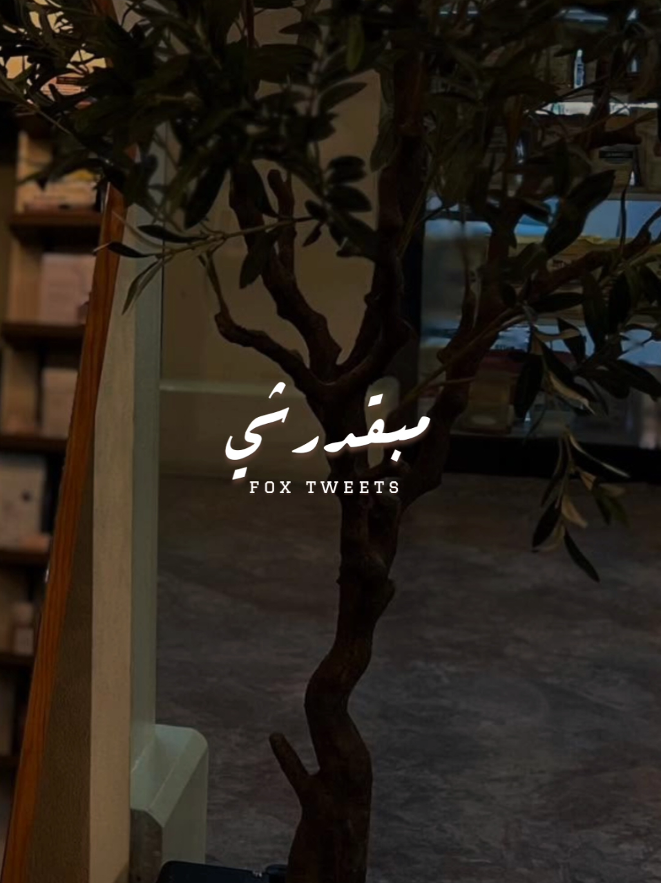 على زعلك مبقدرشي ❤️ @dalilahamdallah  #CapCut #fpyシ #fpy #explore #foryou #دليله #طب_استني #ريكورد_ميوزك 