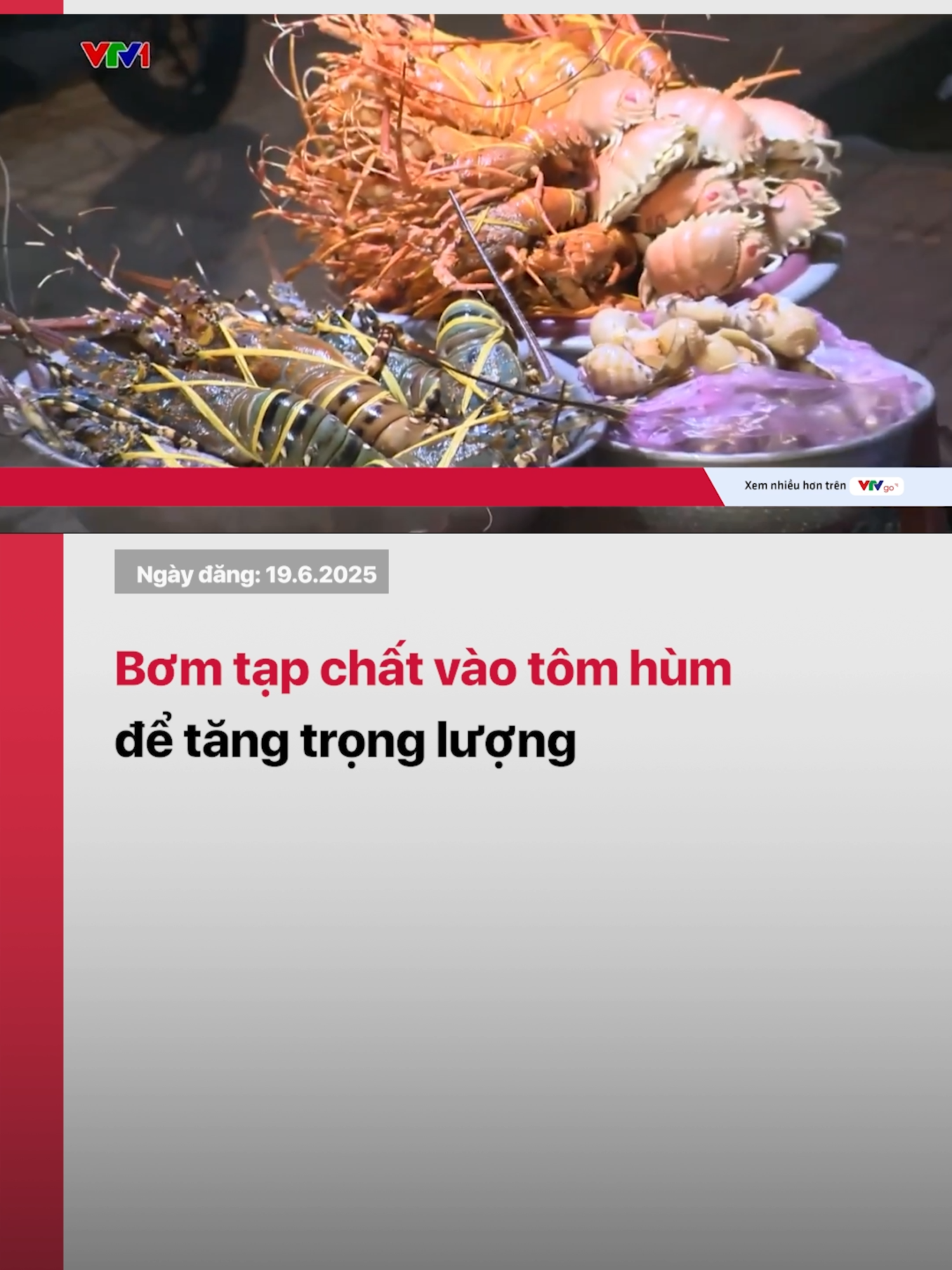 Tôm hùm chết nhưng được bơm thạch rau câu để tăng trọng lượng rồi tiếp tục bán ra thị trường. Hành vi của một cơ sở kinh doanh thủy sản ở tỉnh Phú Yên vừa bị cơ quan chức năng phát hiện. Đáng nói, đây không phải là lần đầu tiên xảy ra vụ việc bơm tạp chất vào thủy sản để kinh doanh gian dối #tiktoknews #vtvdigital #vtv24 #tomhum