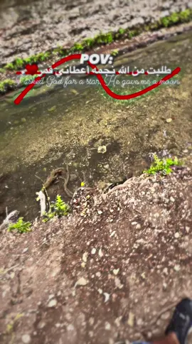 ﮼هي،بتعرف،حالها🙂♥️.#fyp #foryou #viral #القدس_الشامخة👑🦅 #عباراتكم_الفخمه📿📌 #❤️❤️❤️❤️ #foryoupage 