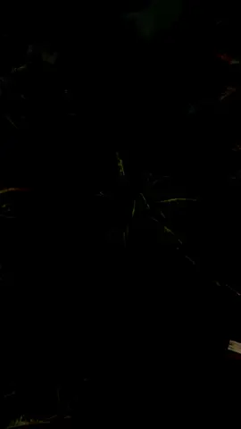 🥲 #story_94🎭 #rindukamu #ibuku #rinduibu 