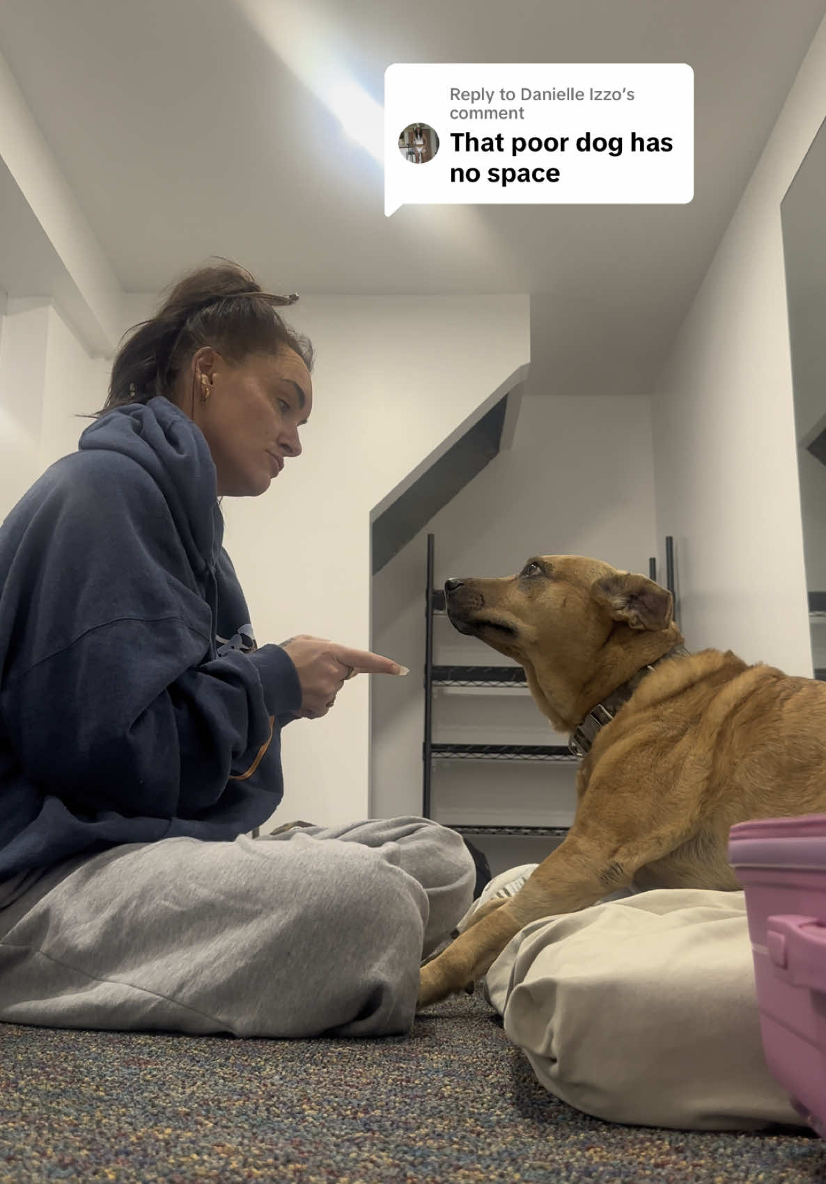 Replying to @Danielle Izzo THATS WHAT I THOUGHT 🥰♥️🐕 