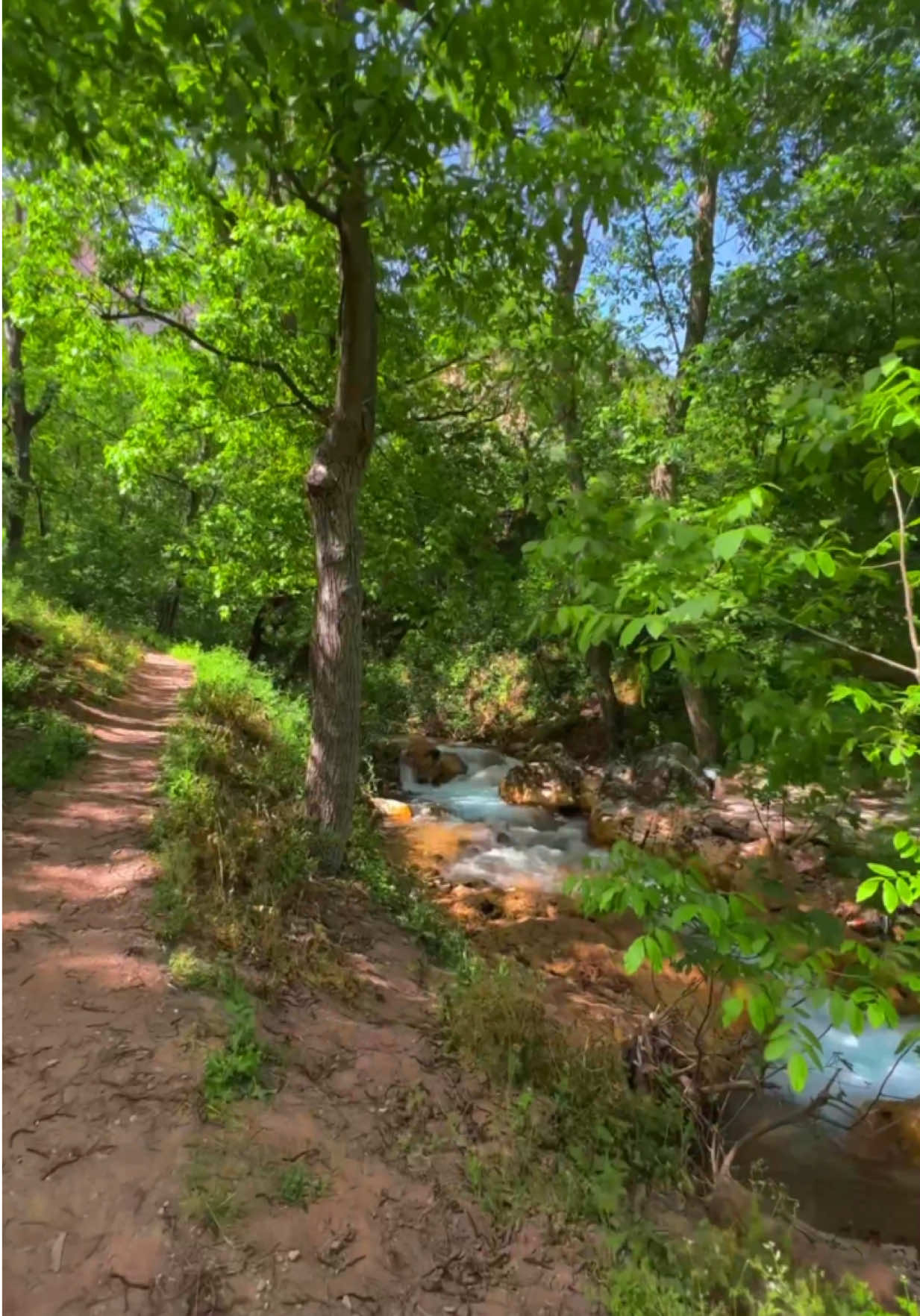 🏔️🌳ئـازاره‌كـان مـرۆڤ ده‌گـۆرن هـه‌ندێـكیان بـێ ره‌حم ده‌بـن هـه‌ندێـكیان بێـده‌نـگ...!🏔️🌳