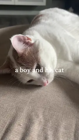 Where he goes, she follows 🤍 We’re still working on being gentle 😅 #catsoftiktok #cat #babyandcat #baby #cutebaby 