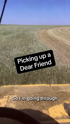 Does that technically make this a John Deere? 🦌#deer #farming #combine #rescue #friend #newfriend - - - 🎥: @wyattgigot1