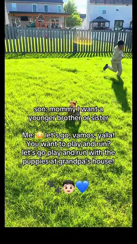 baby makin era is officially closed🚫👏🏽 #shibainu #puppy #momlifebelike 