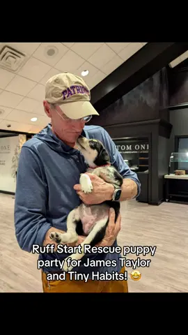 Before taking the stage at the Xcel Energy Center last night, James Taylor & His All-Star Band and @tiny habits got a warm Minnesota welcome—Ruff Start Rescue style! We threw them a backstage puppy party, featuring some of our most adorable rescue guests: Balto, Hazel Marie, and Nanook.  Balto already has some fans with applications in, but Hazel Marie and Nanook are still looking for someone to shower them with love and a new home. A huge thank you to the Taylor family, both bands, and their crew for making time to love on our animals before the show. From what we saw, these legends rock as hard at cuddling as they do on stage. 💙 #jamestaylor #minnesota #puppyparty #rescue #rescuepuppy #adoptdontshop #adoptme #puppytiktok 