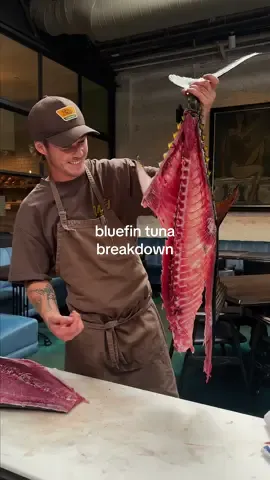 Watch Chef Aidan break down a whole Bluefin Tuna for our new weekly special 🐟🔪 Details dropping soon… #fyp #tuna #butcher #seafood #chef #sandiego 