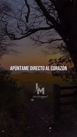 Directo Al Corazón - Pepe Aguilar  #viral #fypシ #parati #pepeaguilar #directoalcorazon #dedicar #rolitaschidas #romanticas #amor #cancion #parejas #letras #lyrics 
