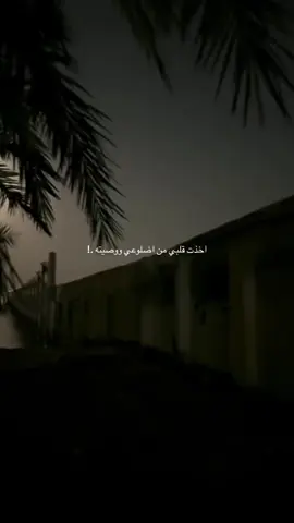اخذت قلبي من اضلوعي ووصيته .!#اكسبلورexplore #fypシ゚viral🖤tiktok☆♡🦋myvideo #fy #ترند 