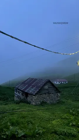 Vazgeçmem💚🌲#karadenizşarkıları #karadeniz #61 #fypシ゚viral #karadenizli #trabzon #fypage #keşfet #tt 