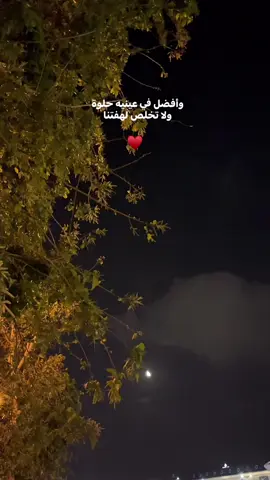 ♥️🍂#7assan_sayed #اكسبلورexplore #fypシ #fyppppppppppppppppppppppp #fouryou #اكسبلور 