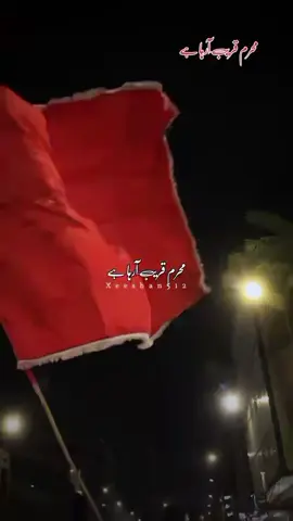 #duet with @Xeeshan512🧿یا علی  مدد 🚩🚩🚩🚩🚩😭😭😭😭
