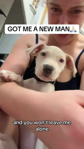 Got myself a man😏  #dogsoftiktok #puppy #fam #squad #newman #boyfriend #relateable #fyp #foryoupage #trending #obsessesd #viralvideo #baby 