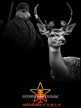 #مديح # سوداني # تقولو الصيده # يا سيد النبوه # لايك # متابعة # إكسبلورر ❤️