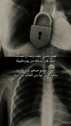 #هواجيس_الليل⬛ #قصايد_شعر_خواطر #شعروقصايد #شعروقصايد_خواطر_غزل_عتاب #قصيده #هواجيس_الليل #احبك🤍 #حبيبتي #شعر_وقصائد 