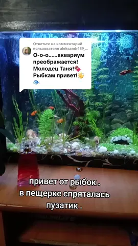 Ответ пользователю @aleksandr159_1980 