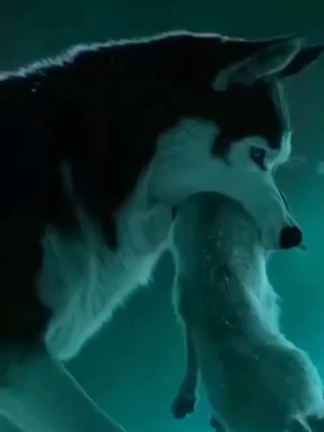 lobo fantasma 