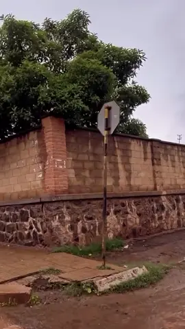 🥹❤️‍🔥#school #asmera🇪🇷♥️ #eritreantiktok #habesha #ኣስመራ_ወርቂ_ሚሎን #eritreantiktok #ኤርትራንኤሪትራዊያን🇪🇷🇪🇷🇪🇷🇪🇷 