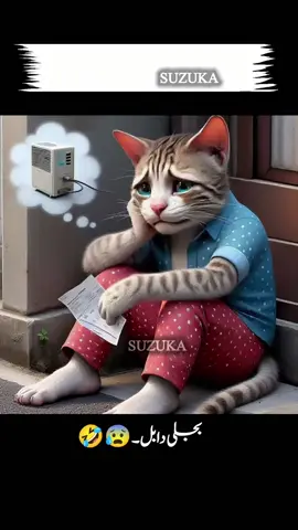 please Tiktok team don't under review my videos please 🙏@ᒪᗩᎥᗷᗩᗯᖇᎥ丅ᗴᔕ🥰 @TiktokPakistanOfficial @zofiaa0314 #foryoupage #fyp #viralvideo #trending 