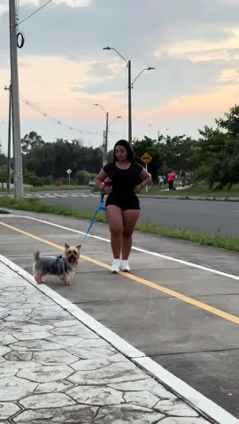 Paseando a mi bebé🐶🥰