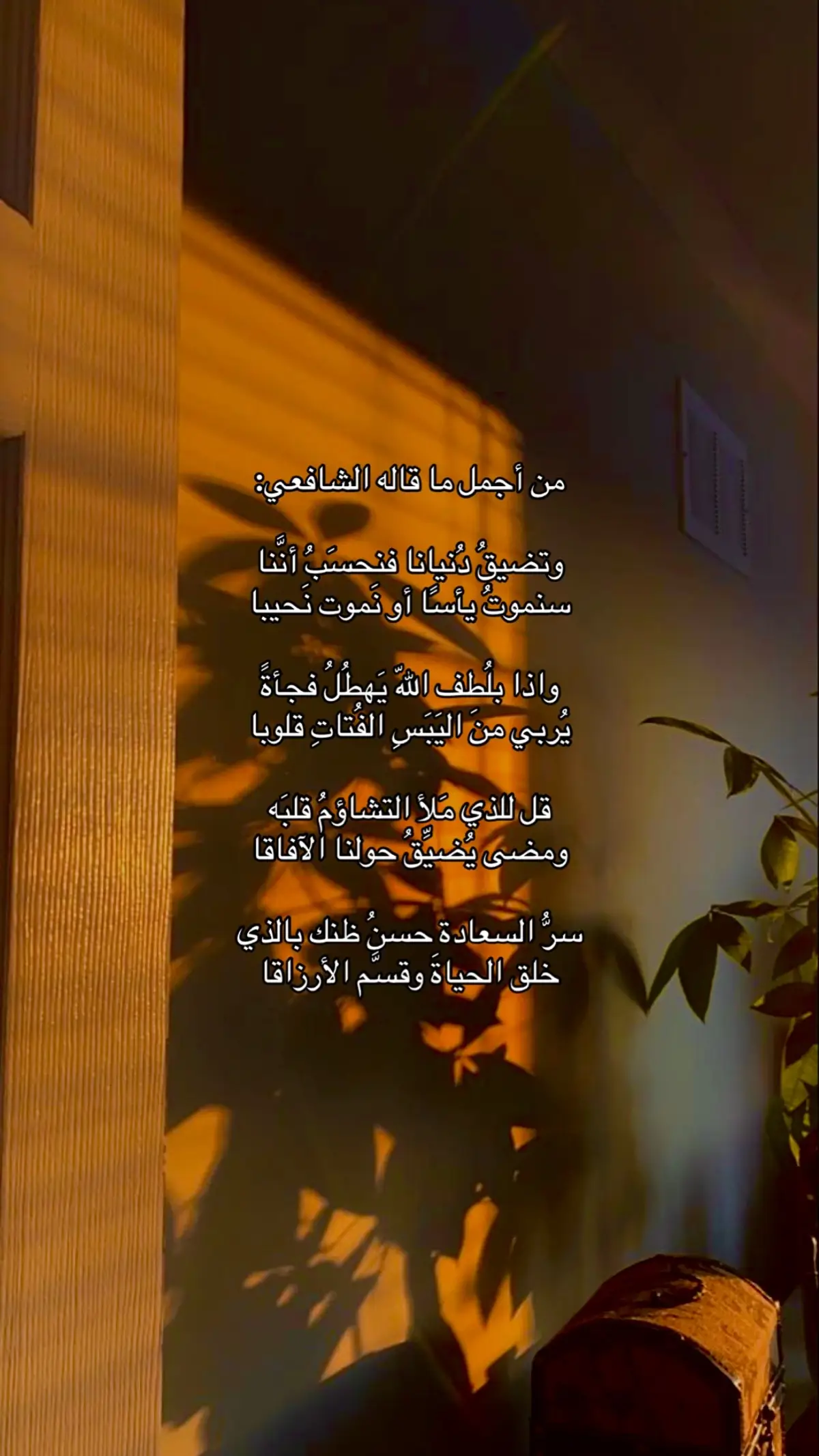 #fyp #اكسبلور #الشافي #شعر 