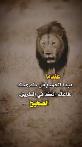 عندما يبدأ الجميع 👌✋  #عبارات #اكسبلور 