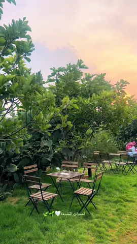 #اكسبلور #ابها #مزرعة #ركايب #حب #طبيعة 