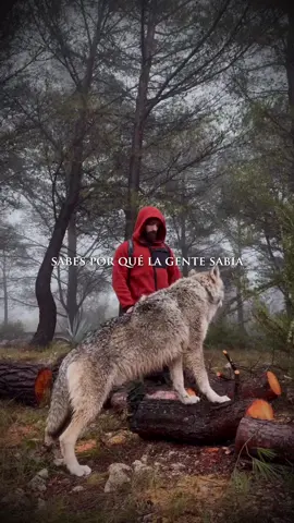 Sabes porque la gente sabía suele decir que hay que vivir la vida como un lobo?
