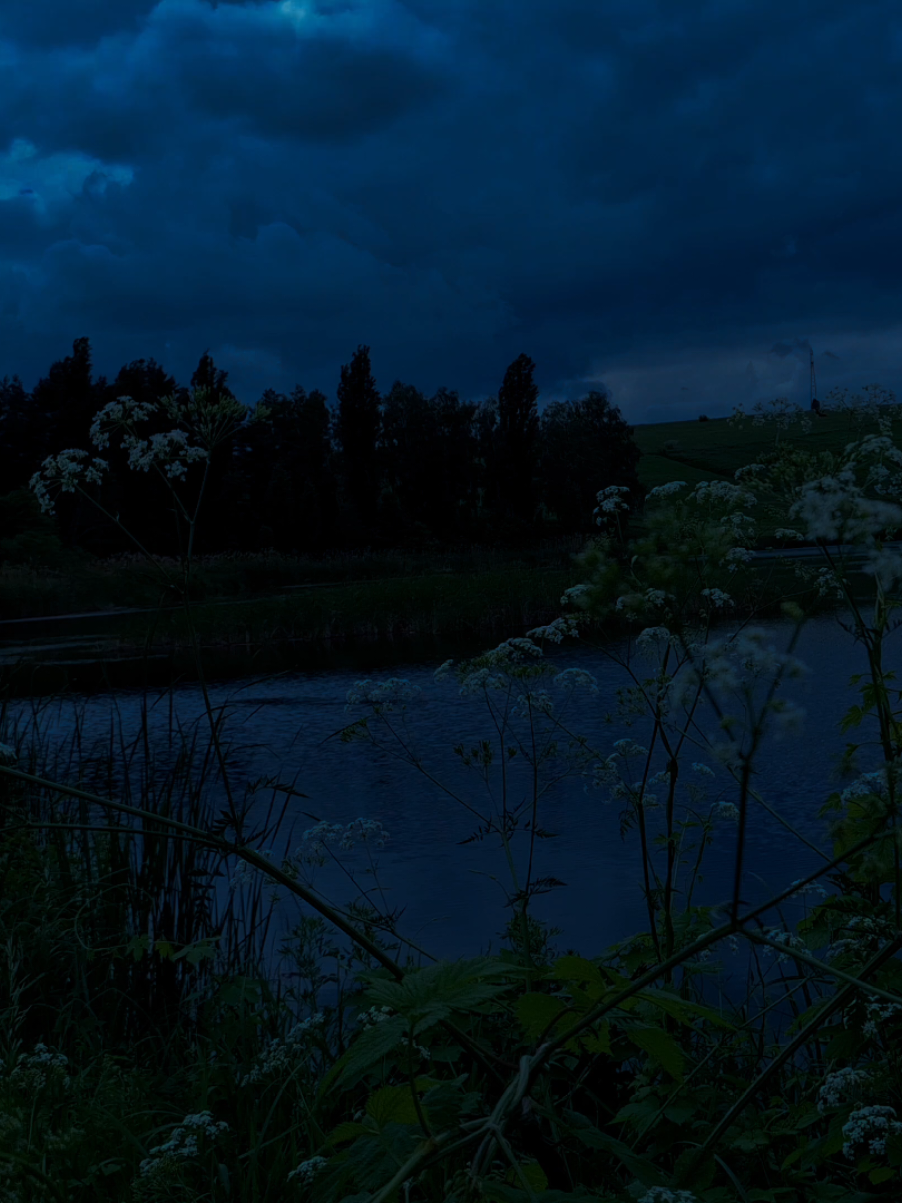 dark vibes  #real #fypシ゚ #vibes #рек #atmosphere #darkness 
