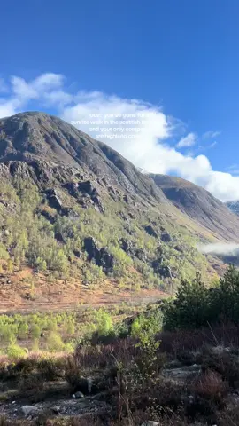 This was early morning driving to Stob Ban in the Scottish Highlands - felt so lucky to have this sunrise and see all these gorgeous highland cows 😍 📍Stob Ban, Scotland 