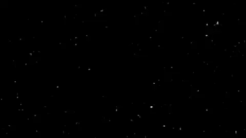 سحرني جمالك 🫵🏻🫵🏻🫵🏻🫵🏻🫵🏻#الشعب_الصيني_ماله_حل😂😂 #السعودية #foryou #fyp #اكسبلور #اغاني_مسرعه💥 #خليجي 