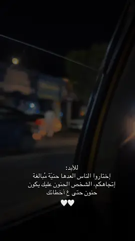 للابد 🤍 #السماوه_مدينتي #قطط #شوارع #Biscoitocut 