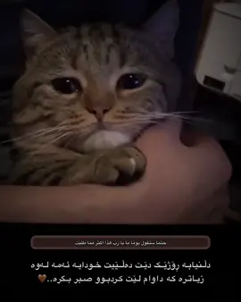 حتماً ستقول يوماً ما يا رب هذا أكثر مما طلبت.. 🤎#muslim #foryoupag #foryou #foryoupag #foryou #🤎🤎 #sami #الحمدلله_دائماً_وابداً #🤎🤎 