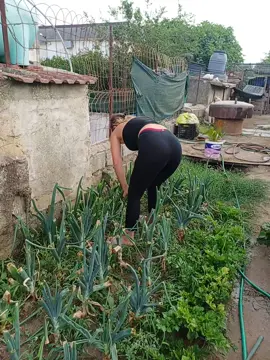 #foryoupage❤️❤️ #neipertee #fyp 