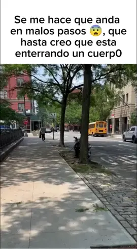 Se me hace que este gato anda en malos pasos 