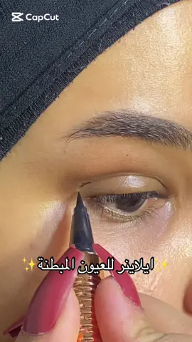 جربوا وانطوني رايكم ؟✨💗#خدوج #العراق #viral #fyp #مكياج #ميكب #makeup #ايلاينر #Eyeliner 