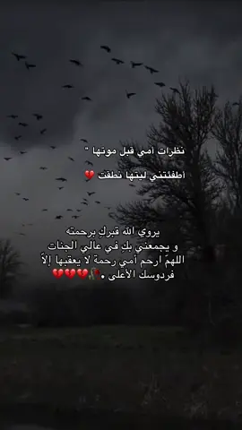 اللهم ارحم امي واغفرلها واجعل مثواها الجنه يارب 🤲🏻  #امي #CapCut #creatorsearchinsights #رمضان_من_دون_أمي🥺😭😢💔 #الله_يرحمك #سنة_جديدة #انالله_وانااليه_راجعون #رحمه_الله_روحاً_لا_تنسىٰ_ولا_تعوض💔💔 #اشتقت_لكي_أمي #دعاء_لامي_المتوفية #شعور_الفقد #💔😥 #فقد_الام #فقيدتي_امي_افتقدك💔 #يوم_الجمعه_خيرا_من_كل_يوم #فقدتي_امي💔 #اكسبلورexplore #ramadanhighlights #اللهم_صلي_على_نبينا_محمد #اكسبلور #مكة #مكه #مكه_الان #مكة_المكرمة #مكه_المكرمه_المملكه_العربيه_السعوديه #حجاج_بيت_الله #حجاج #ذي_الحجه #موت 