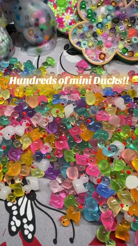 Hundreds of Mini Ducks!! What would you do with them??  #ducks #ducksoftiktok #ducksoftiktok🦆 #duckduckjeep #jeep #jeeplife #jeepgirl #ducklife #whatwouldyoudo 