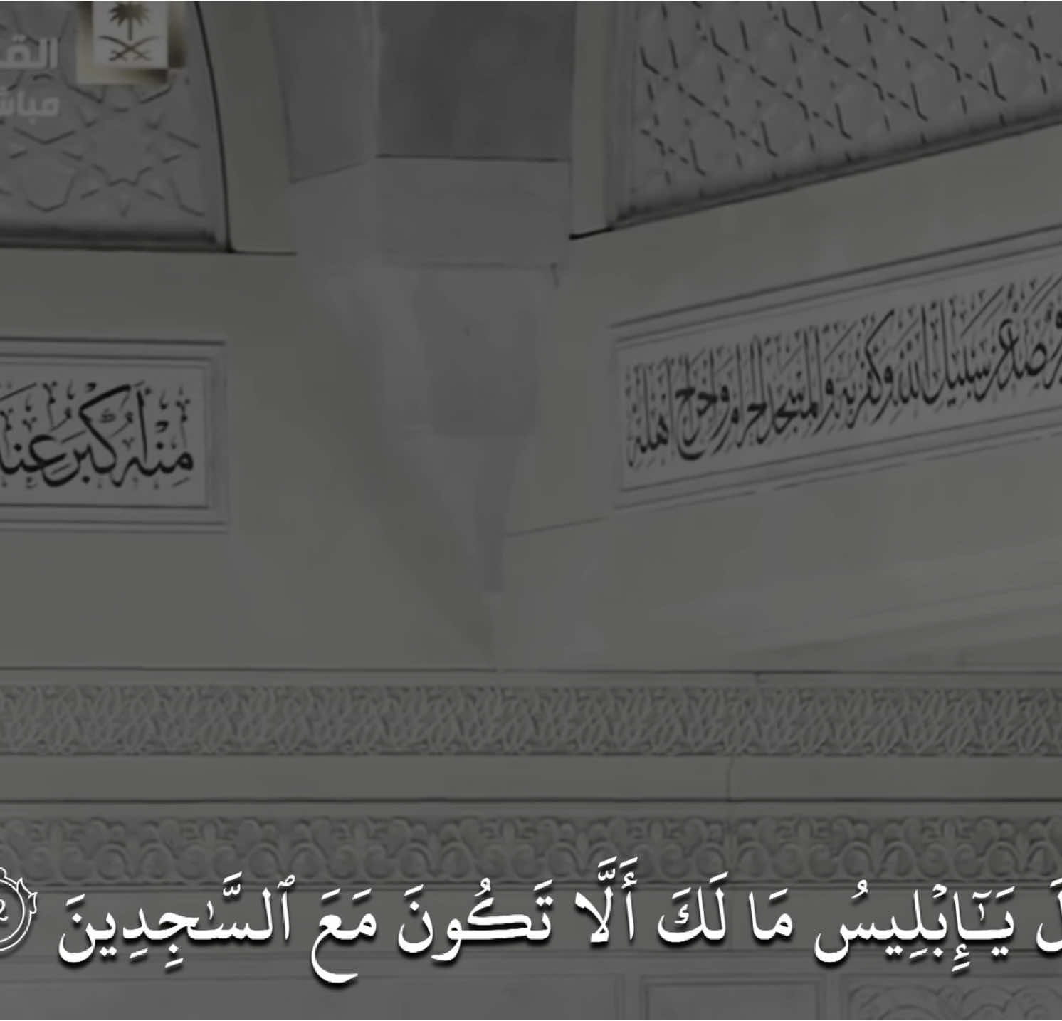 اذكر الله 🖤 سورة الحجر 🖤 #ماهرالمعيقلي #قران_كريم #قرآن #quran #saadolla_hagag #ماهر_المعيقلي 