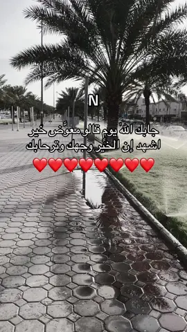 #اكسبلورexplore #❤️ 