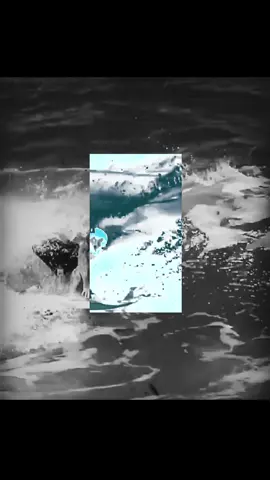 #surf #fypシ゚ #ocean 