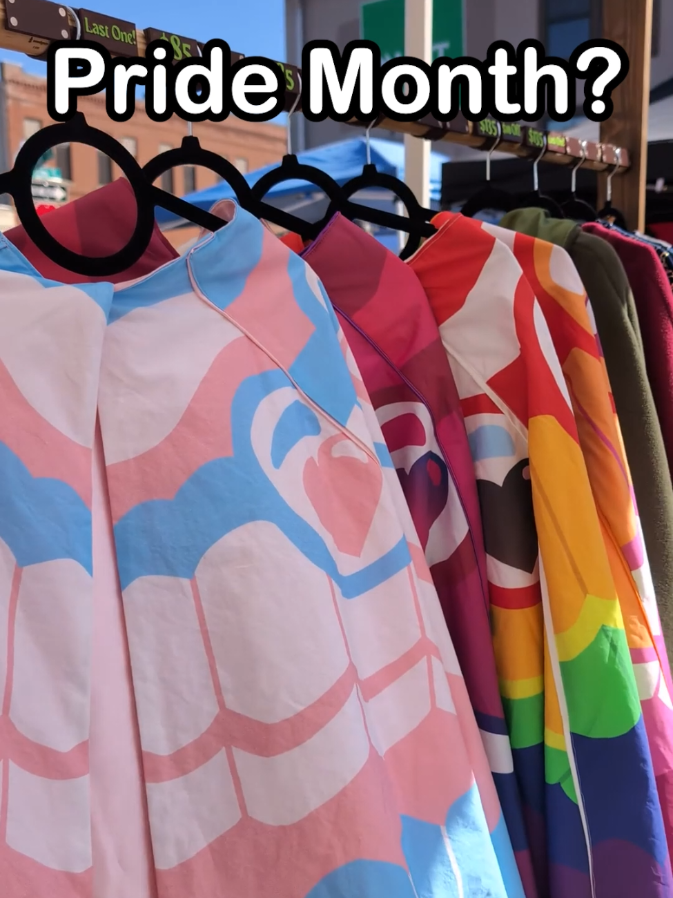 We have pride moths up year round but always nice to shout them out during pride month! We also have two new additions 👀 can anyone guess the flags? #pridemonth #pridemoth #pride2025🏳️‍🌈 #mothwings #prideoutfit #lgbtqia #transpride #asexualpride #renfairetiktok 