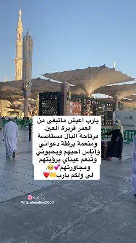 #المدينة_المنورة_الآن #المدينة_المنورة #الشعب_الصيني_ماله_حل😂😂 #capcut #fypシ #مالي_خلق_احط_هاشتاقات🦦 #اكسبلورexplore #مالي_خلق_احط_هاشتاقات🧢 #الحرمين_الشريفين #المدينة_المنورة #اكسبلور 