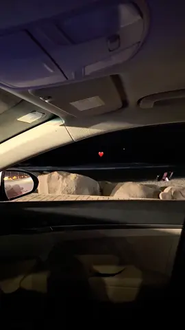 #ضيدان_ابن_قضعان #قصايد_شعر #اكسبلورexplore #fyp #fyyp #البحر #ترندات_تيك_توك 