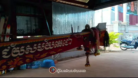 ជួបគ្នារដូវការថ្មី🥰😅#ជួបគ្នារដូវផ្ការីក #ជួបគ្នាឆាប់ៗ #រំចេកមានជ័យបារមីលោកតាដំបងពេជ្រ #រំចេកសែនជ័យ #នអ្នកកំពង់ចាម😘😍😚😊 #ទូកងរកូនខ្មែរ🇰🇭 #សុំ❤️ម្នាក់មួយមកok🙏❤️❤️ #វត្តជយោ #ទូកត្នោតចម្លងស្នេហ៍🛶🛶🛶🛶 #ស្ពឺសែនជ័យសម័យតេជោ 