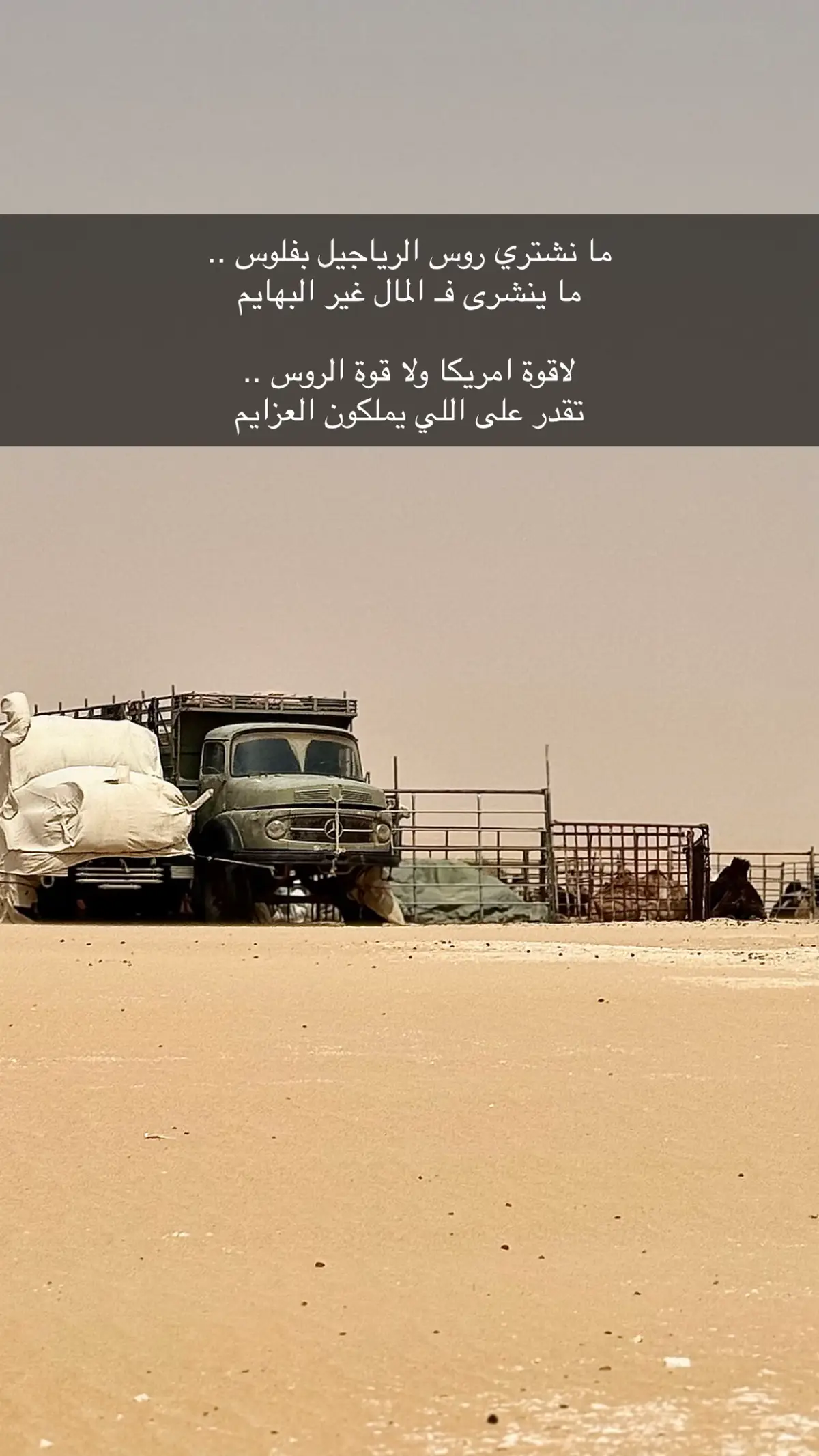 #اكسبلور #يوميات #قصايد #صور #ترند #البل #البر #تصويري📷 #اكسبلورexplore 