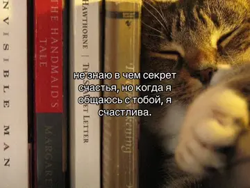#щитпост #щп 