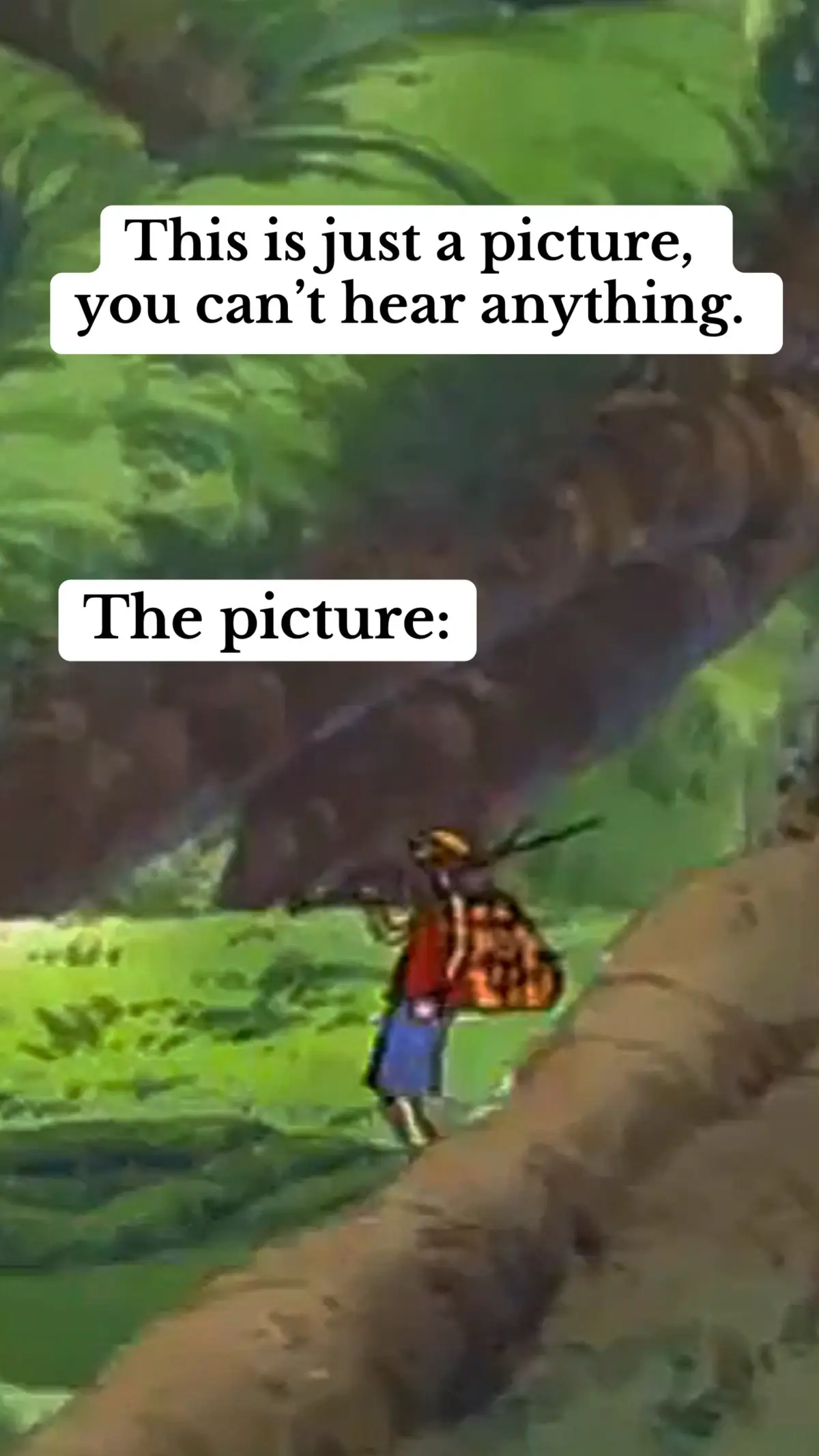 #luffysinging #bakasong #devilfruit #kidonepiece #eustasskid #binkssake #brookonepiece #laboononepiece #skypiea #punkhazard #doflamingodonquixote #onepieceluffy #onepieceliveaction #animes #mangaonepiece #smokeronepice #zorofunnymoments #animefunnymoments 