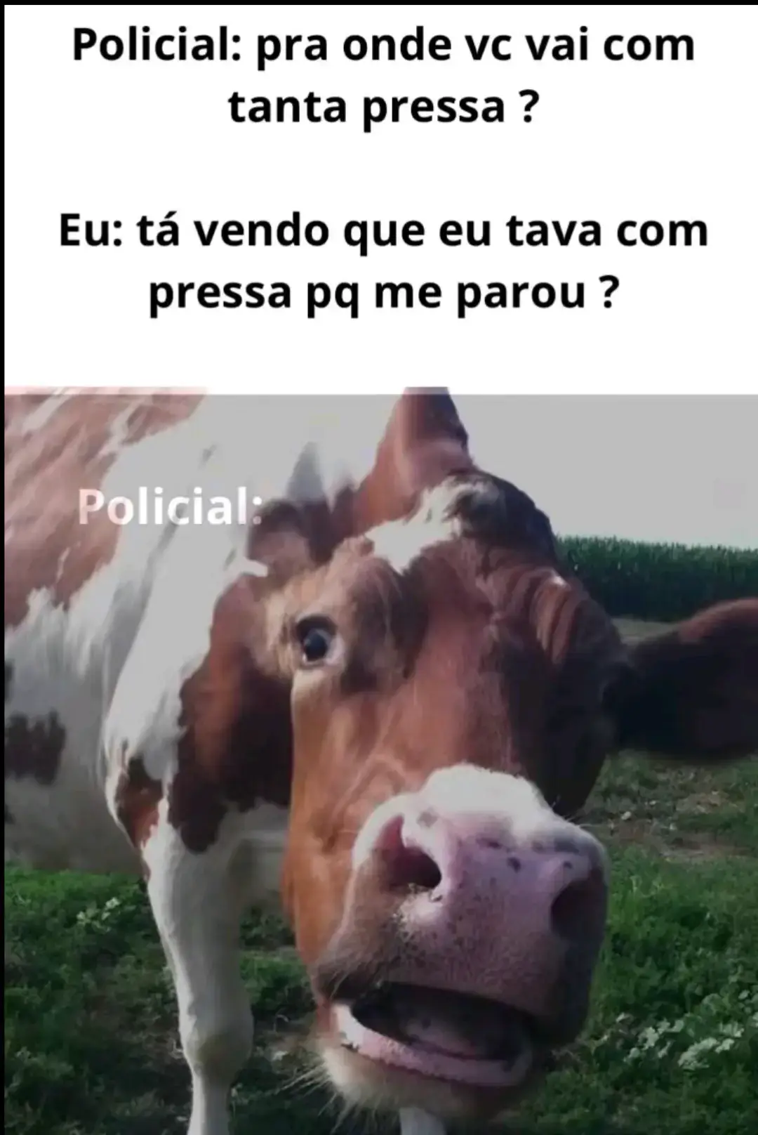 #fyp #engracado #memestiktok #foryoupage #eutunoisbotanela 