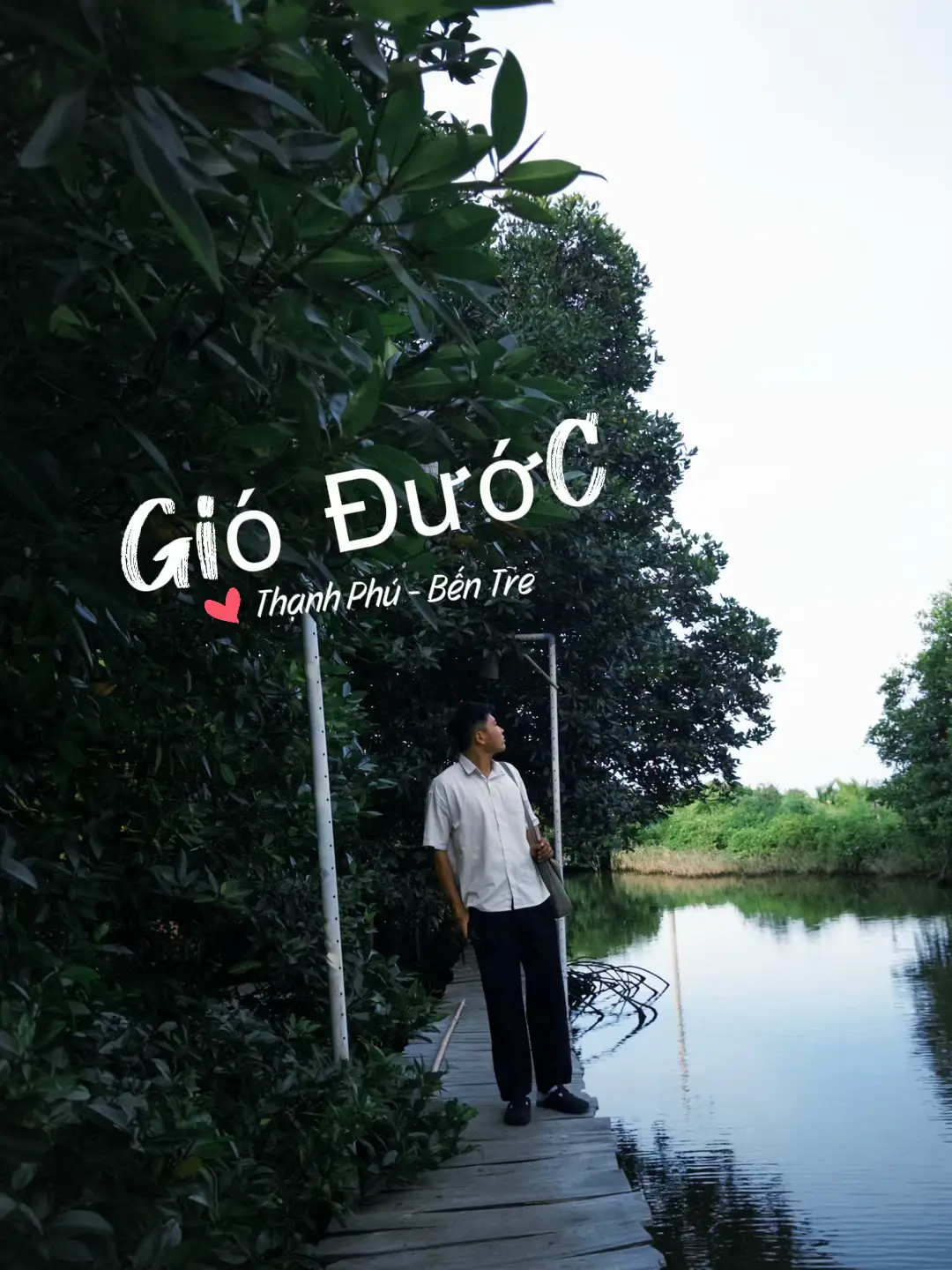 Gió Đước 📍Thạnh Phú - Bến Tre. #vivu #travelvlog #dailyvlog #bentre #bentre71🌴🥥 #dulichvietnam #gioduocthanhphu 